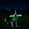 Durable Nylon Glow in the Dark Chew Stick for Power Chewers | Indestructible Dog Toy USA